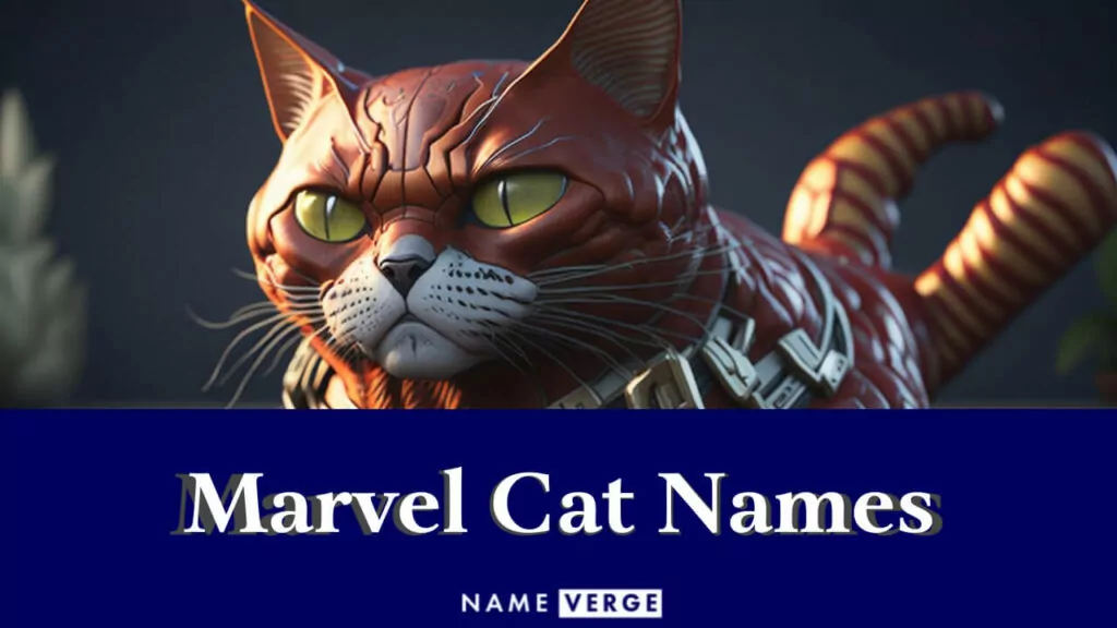marvel cat names