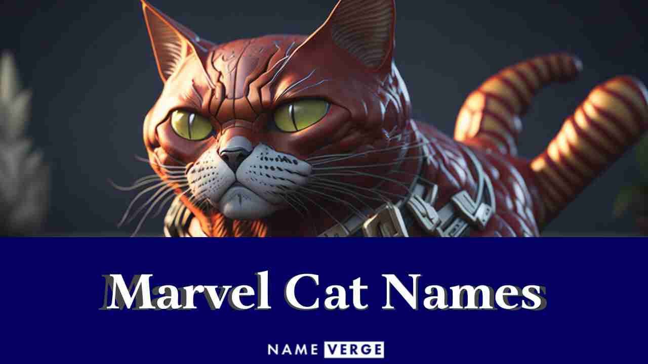 LEVLO Kosmetiktasche 'Sneaky Cat' – Lustige Motivtasche Für Damen Mit Katzen-Spruch