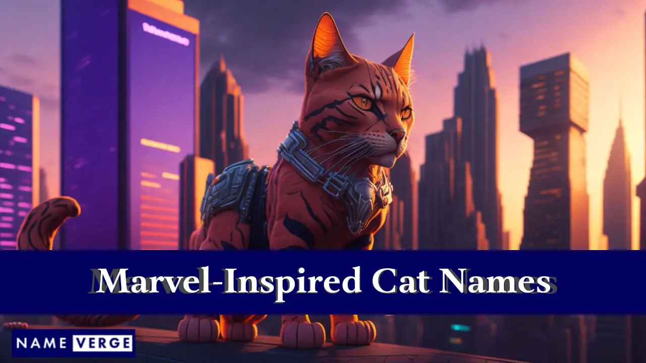 Von Marvel inspirierte Katzennamen
