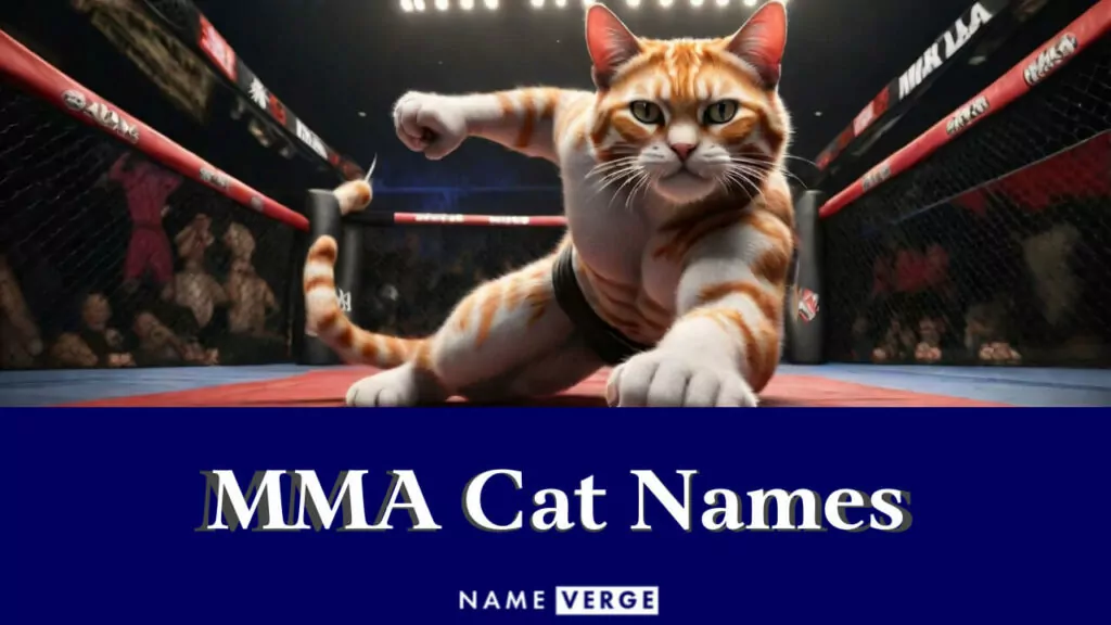 mma cat names