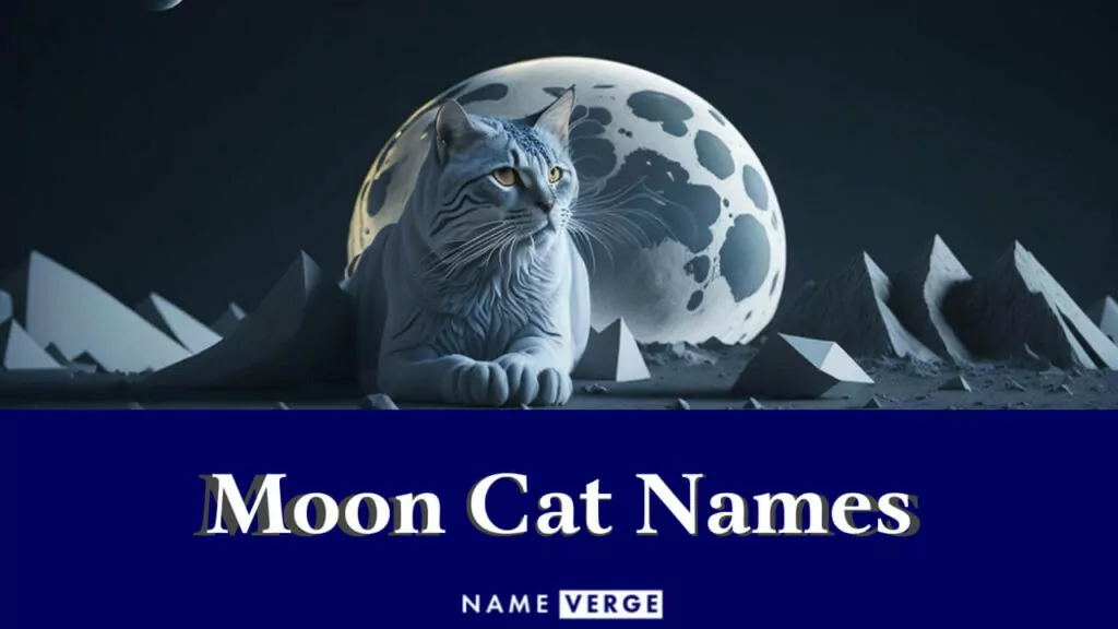 moon cat names