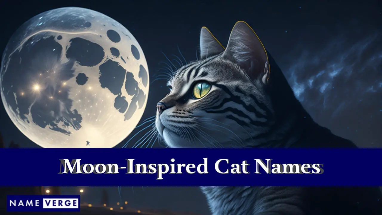 Vom Mond inspirierte Katzennamen
