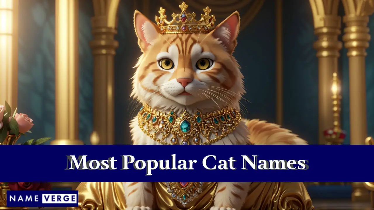 Die beliebtesten Katzennamen