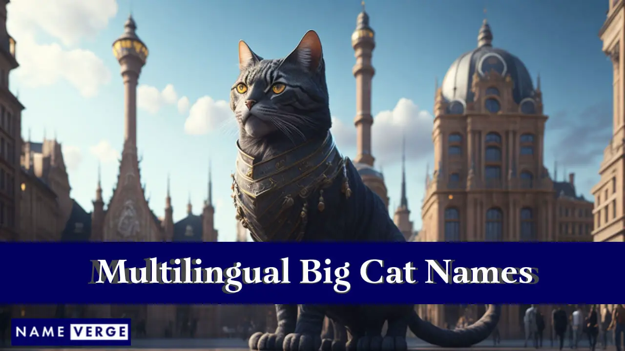 Großkatzennamen in anderen Sprachen