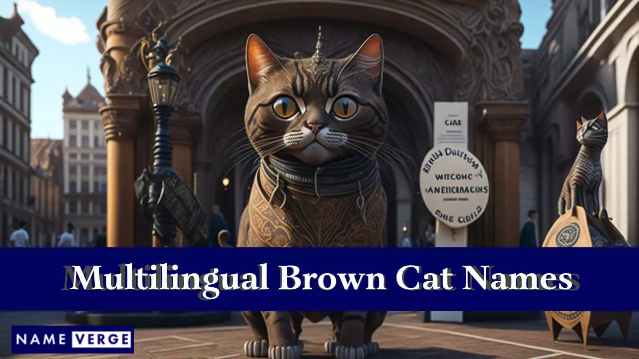 Braune Katzennamen in anderen Sprachen