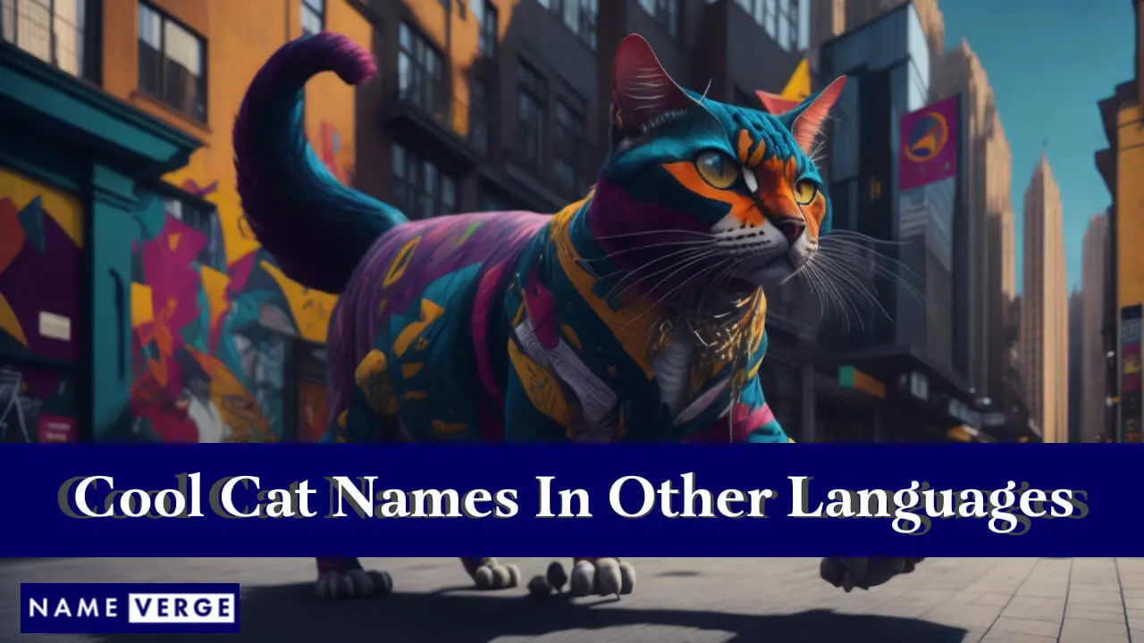 Coole Katzennamen in anderen Sprachen