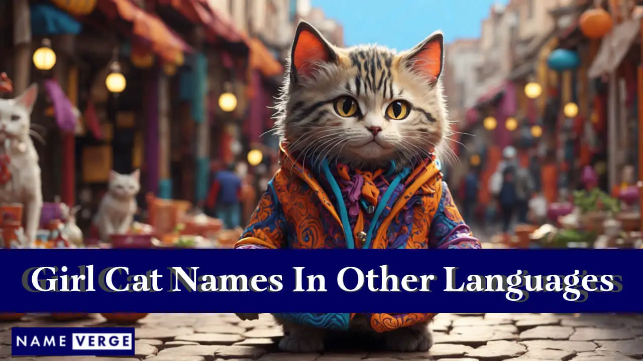 Mädchennamen für Katzen in anderen Sprachen