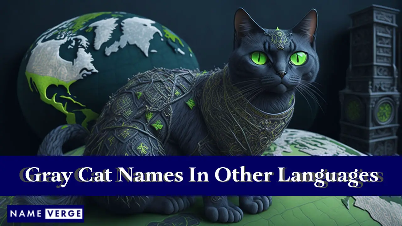 Graue Katzennamen in anderen Sprachen
