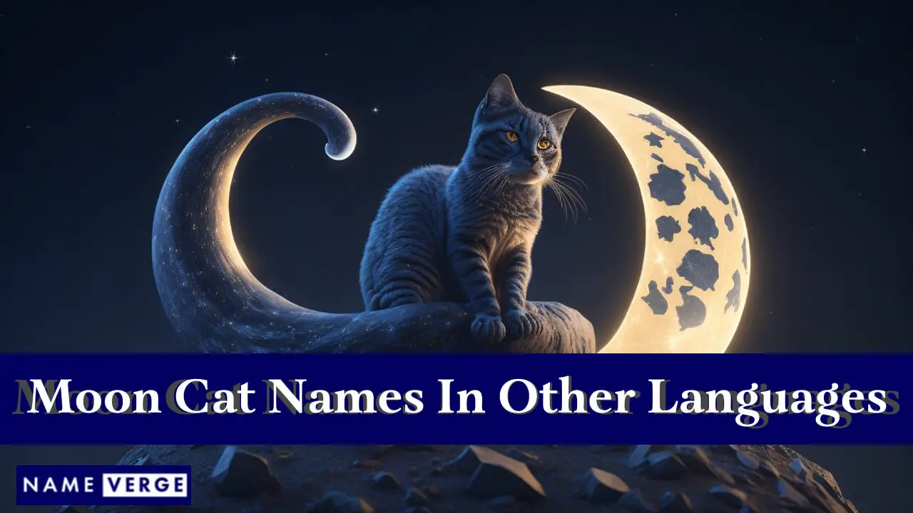 Mondkatzennamen in anderen Sprachen