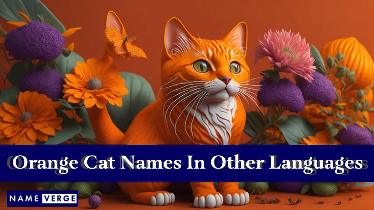 Orangefarbene Katzennamen in anderen Sprachen
