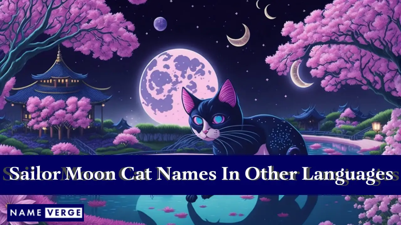 Sailor Moon-Katzennamen in anderen Sprachen