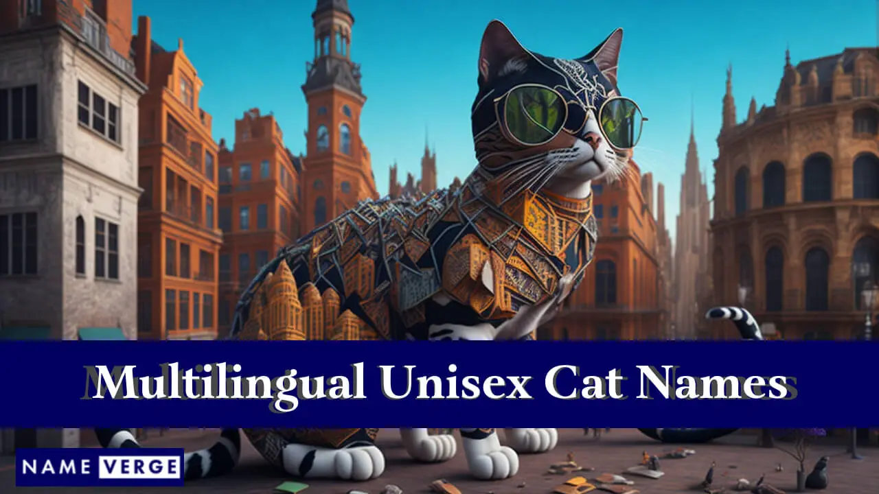 Unisex-Katzennamen in anderen Sprachen