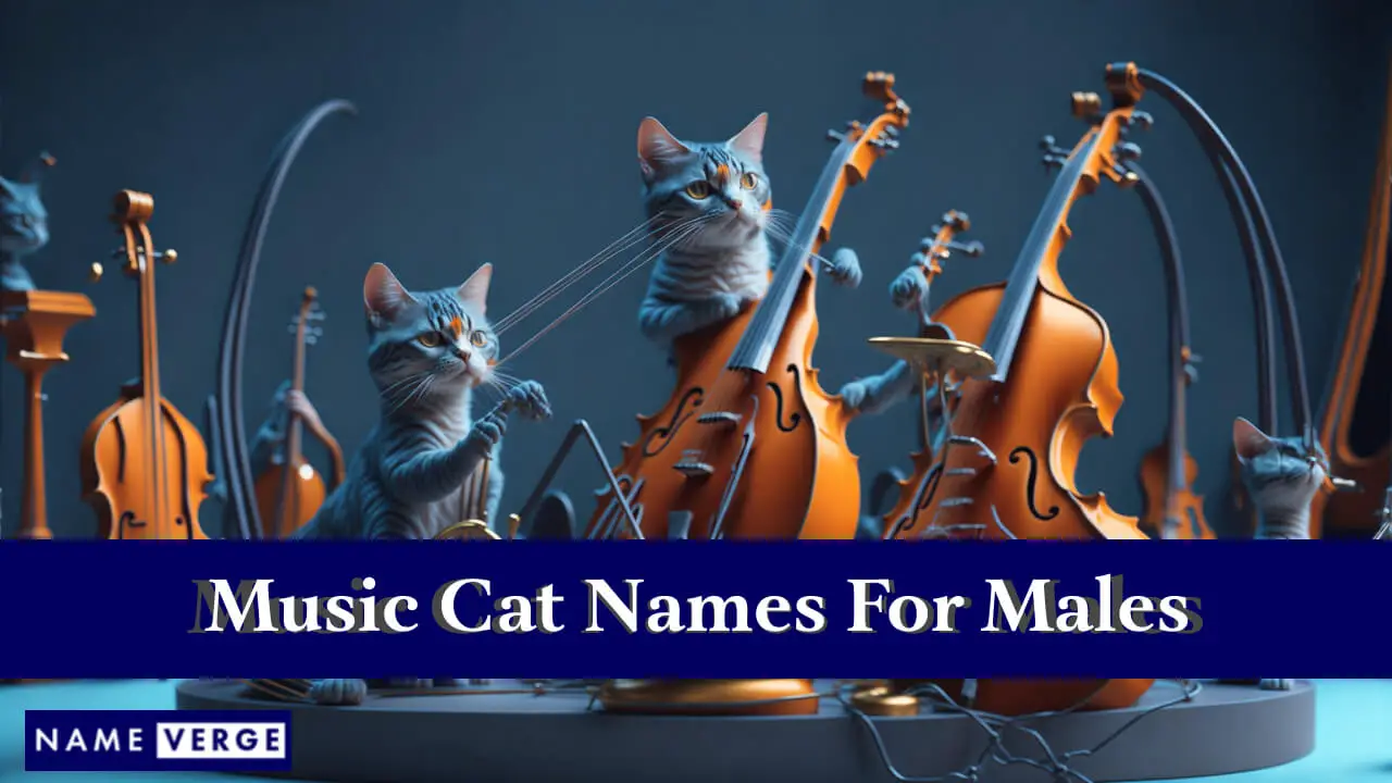 Musikkatzennamen für Männer
