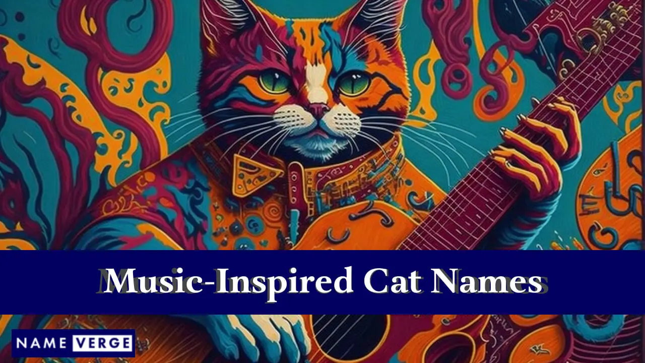 Von der Musik inspirierte Katzennamen