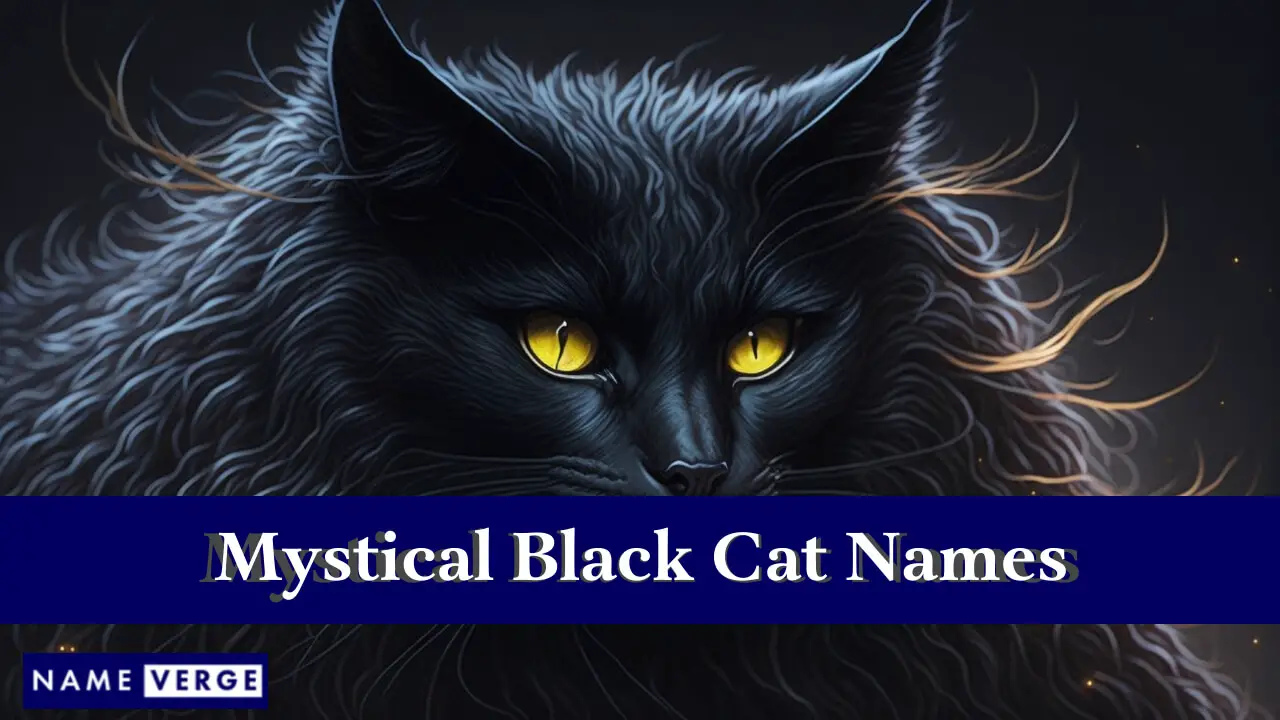 Mystische schwarze Katzennamen