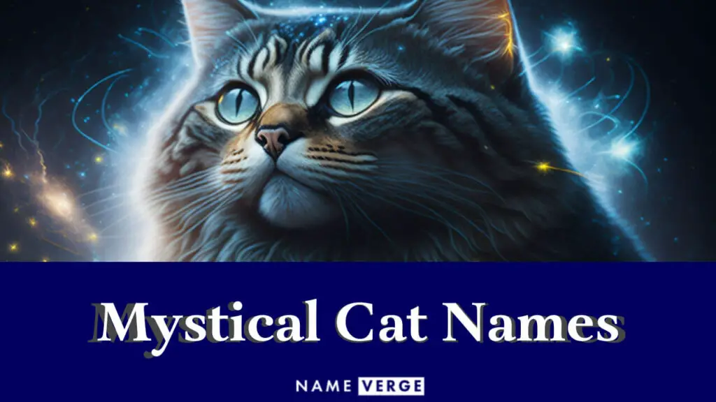 mystical cat names
