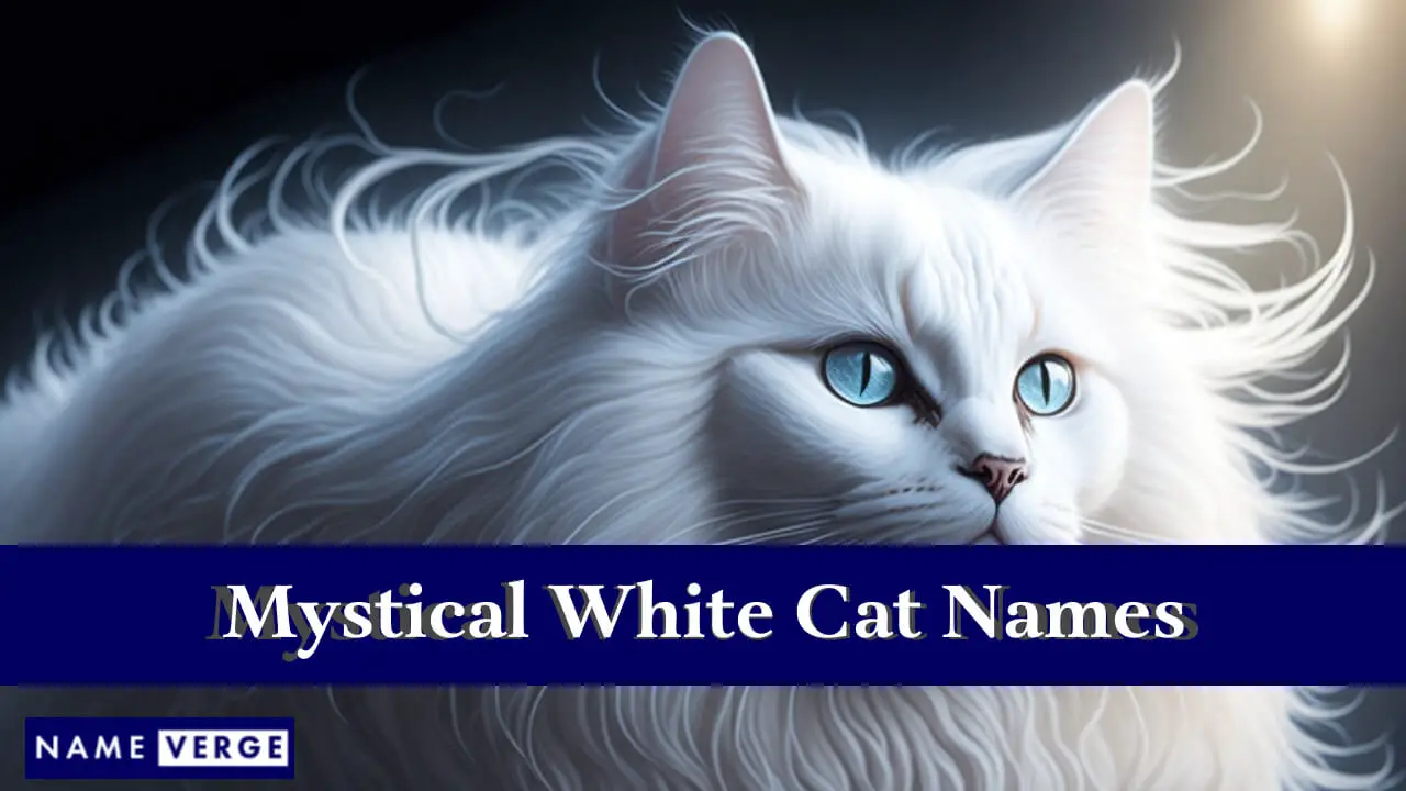 Mystische weiße Katzennamen