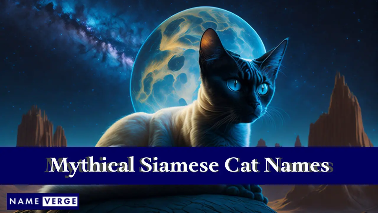 Mythische siamesische Katzennamen