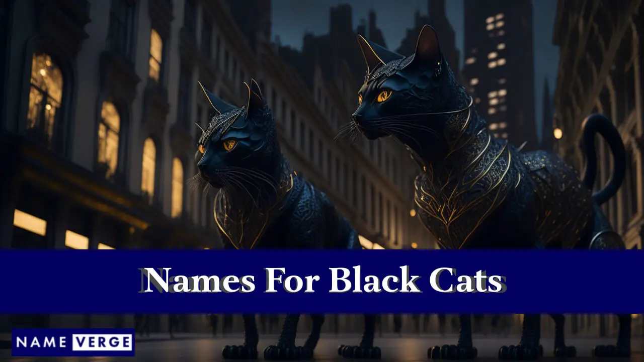 Namen für schwarze Katzen
