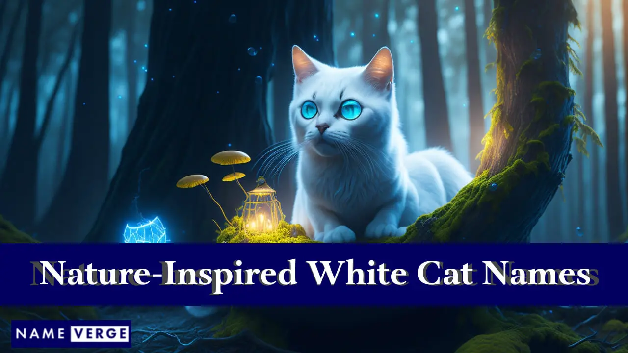Von der Natur inspirierte weiße Katzennamen