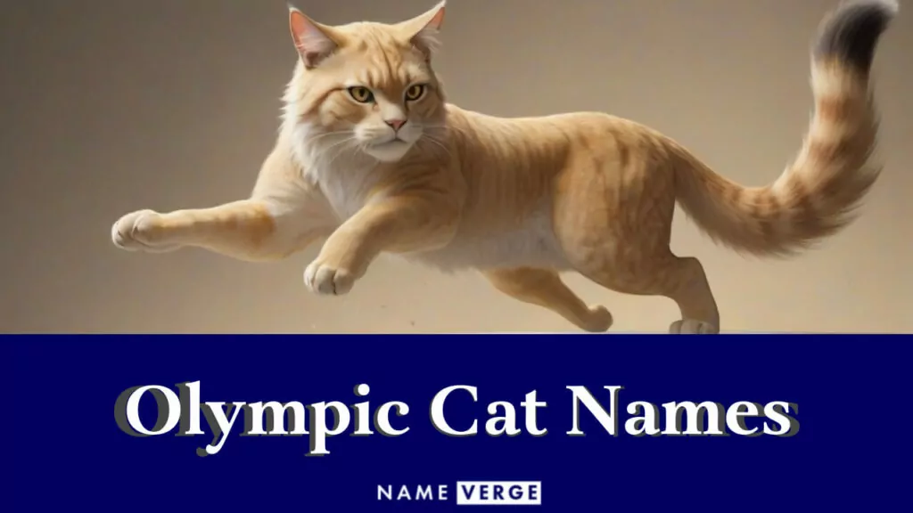 olympic cat names