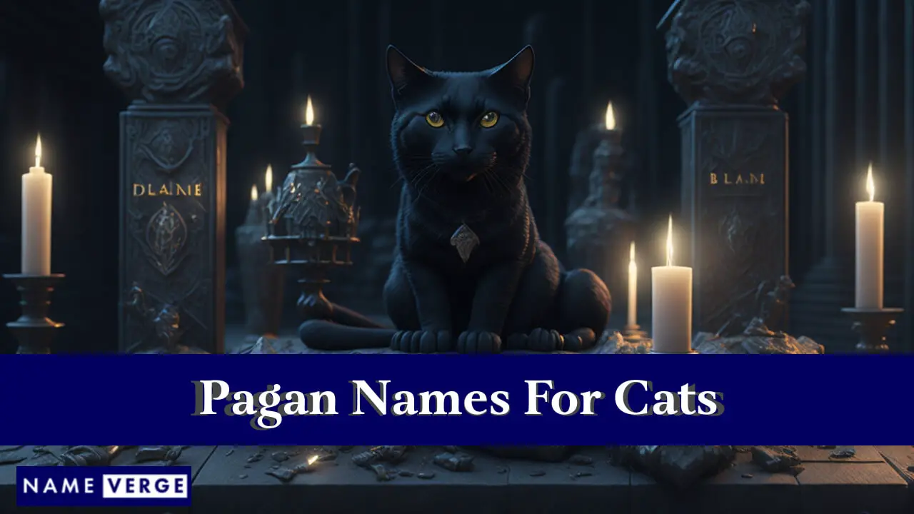 Heidnische Namen für Katzen
