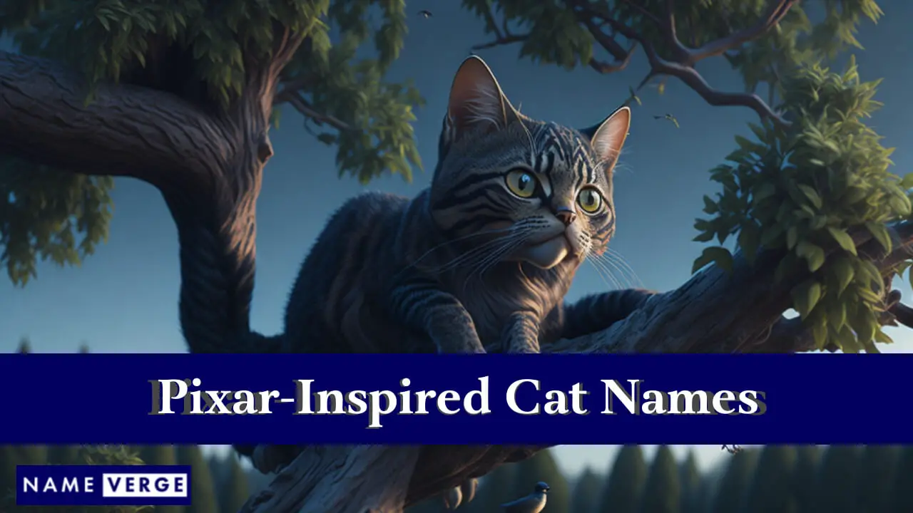 Von Pixar inspirierte Katzennamen