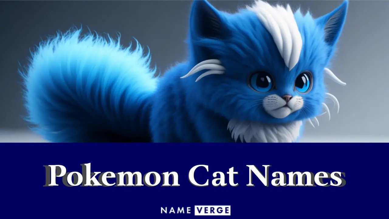 PokémonKatzennamen 200 Coole Namen Für Ihre Sternenkatze Pet YOLO