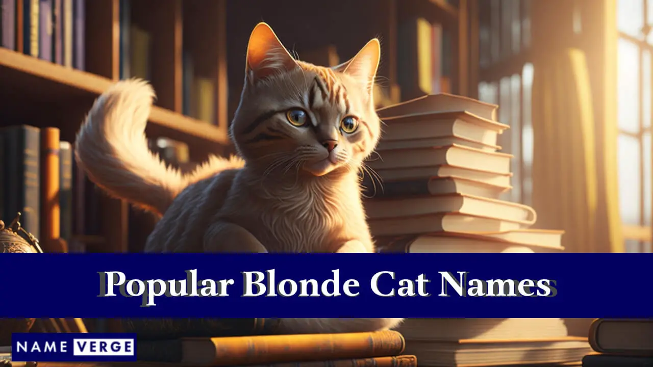 Beliebte Namen für blonde Katzen