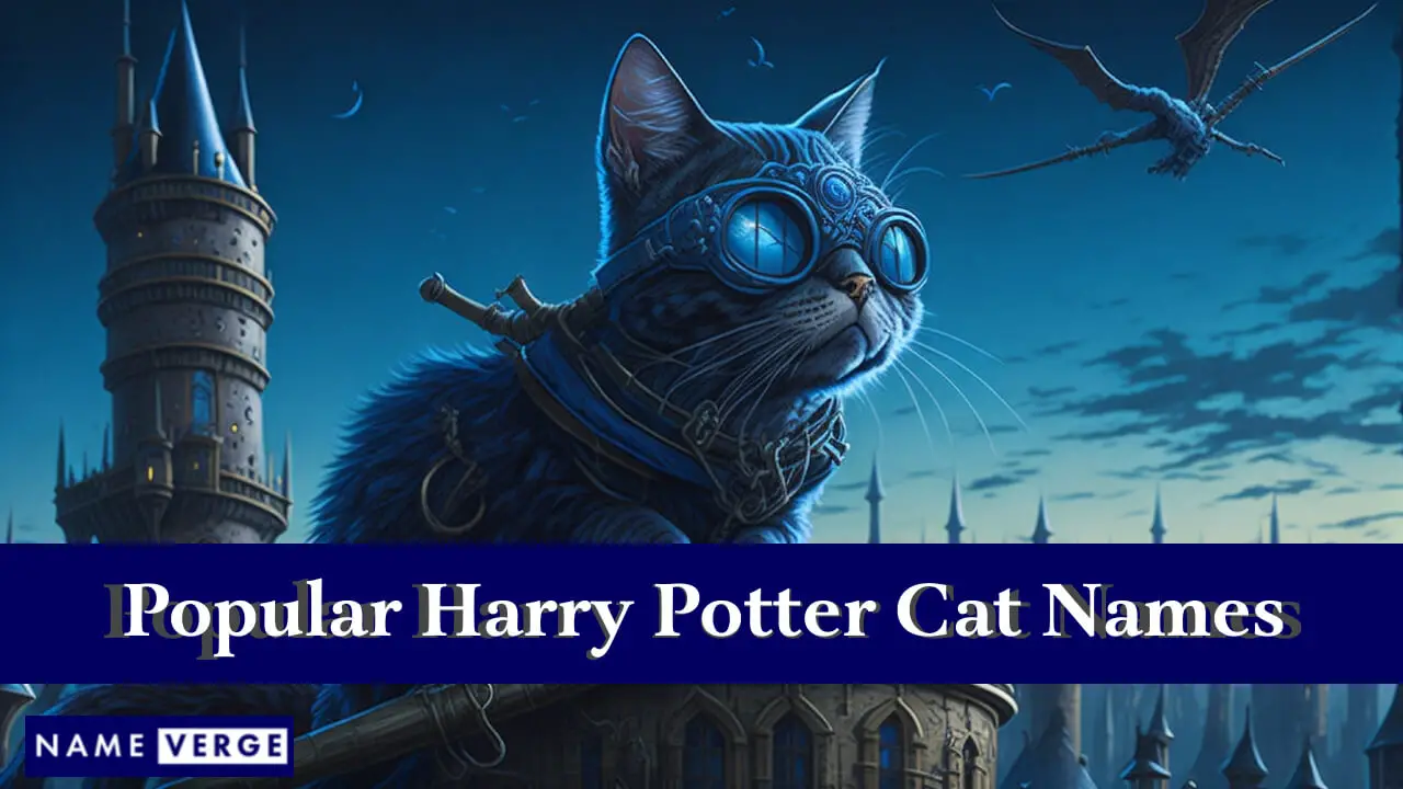 Beliebte Harry-Potter-Katzennamen