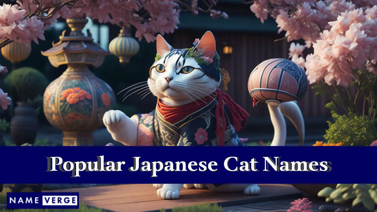 Beliebte japanische Katzennamen
