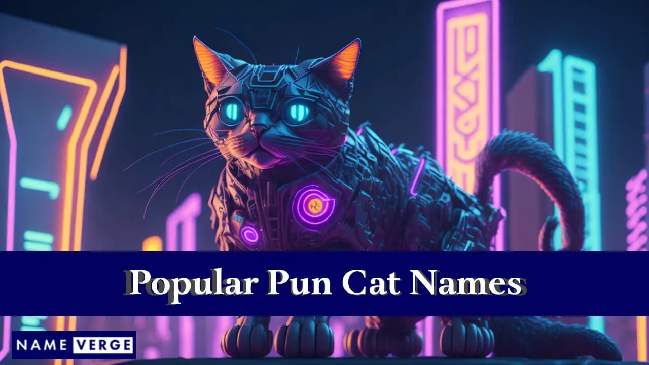 Beliebte Wortspiel-Katzennamen