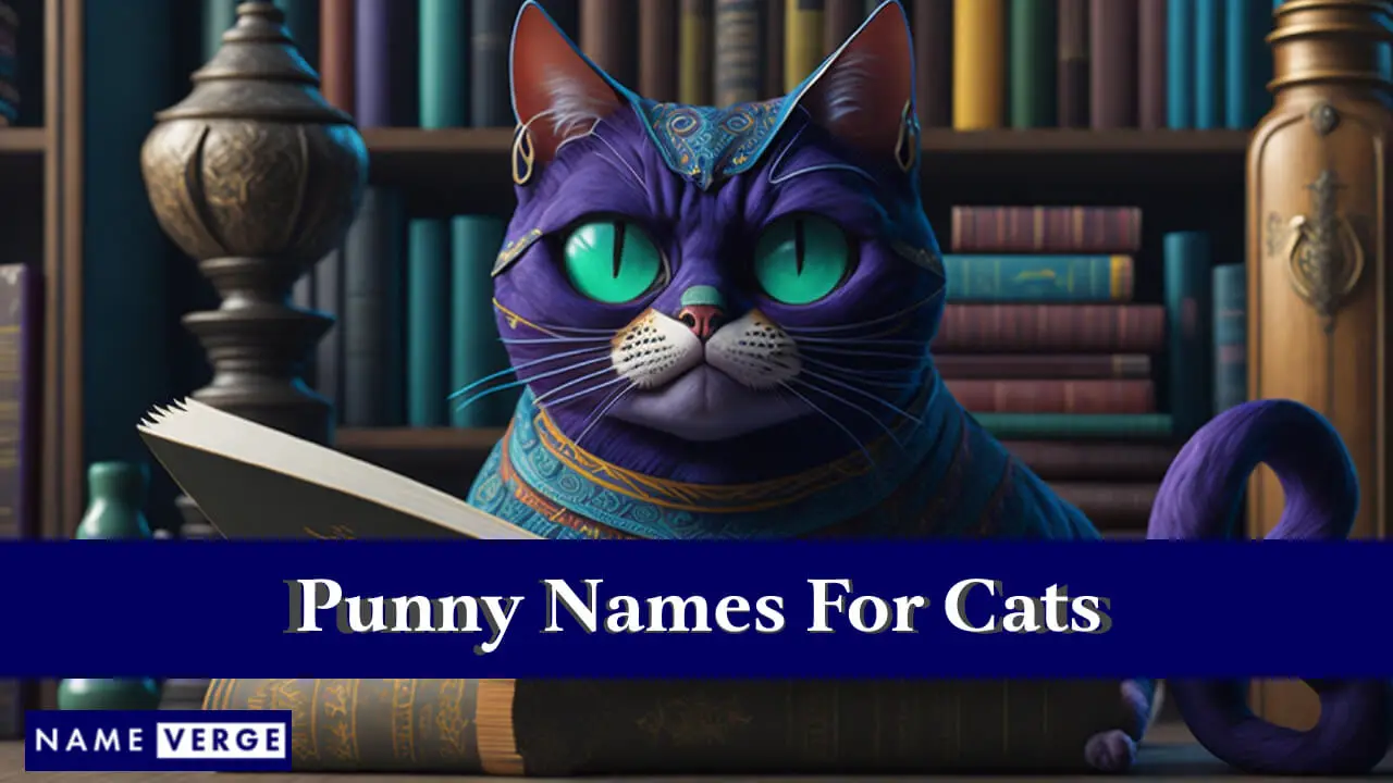 Punny-Namen für Katzen