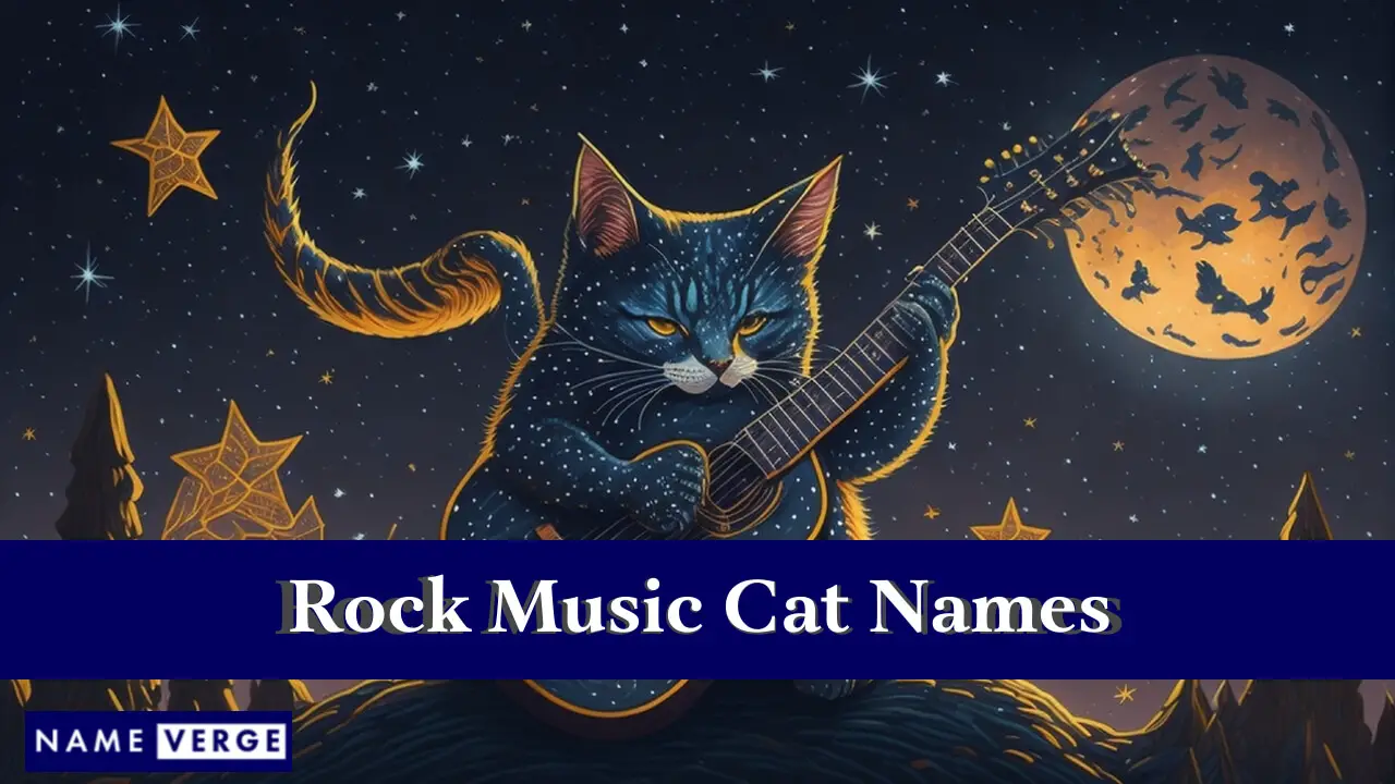 Rockmusik-Katzennamen