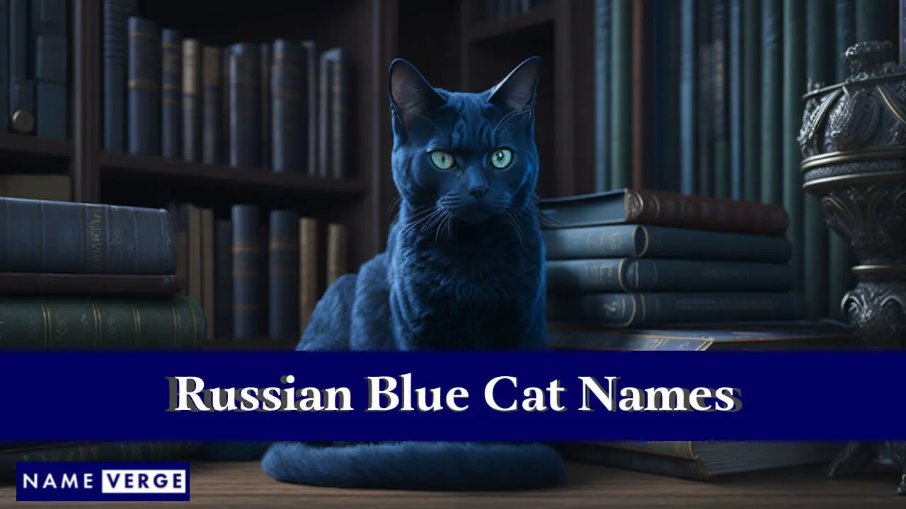 Russische blaue Katzennamen