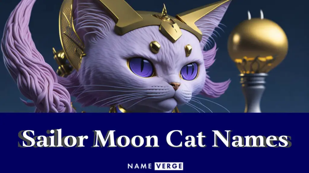 sailor moon cat names