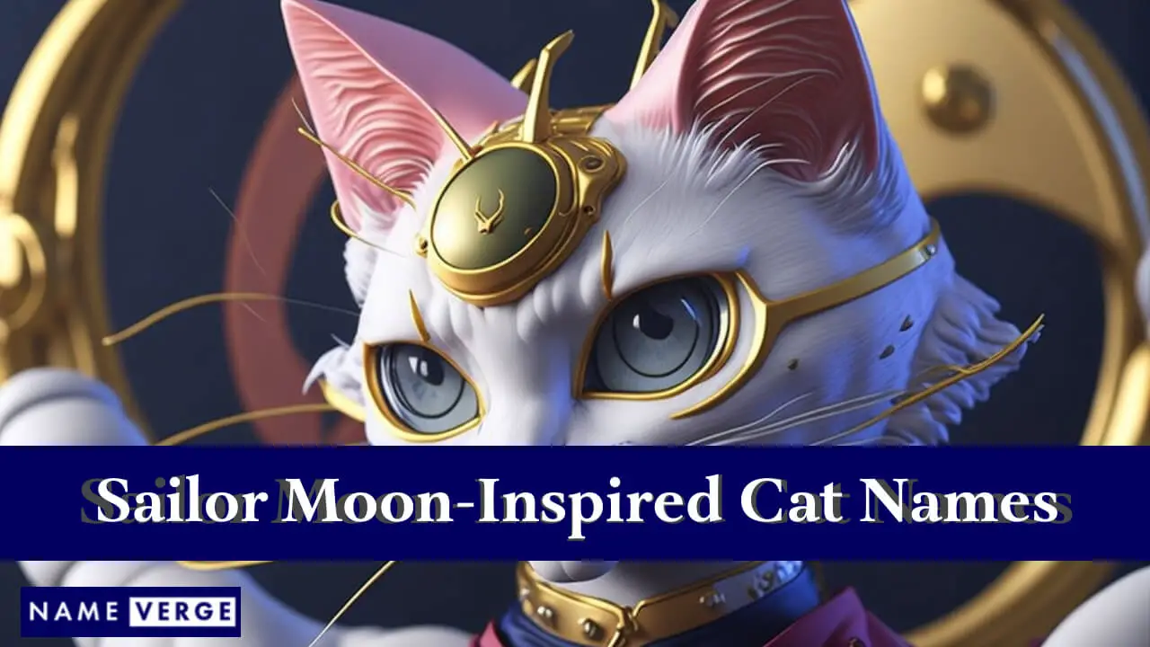 Von Sailor Moon inspirierte Katzennamen
