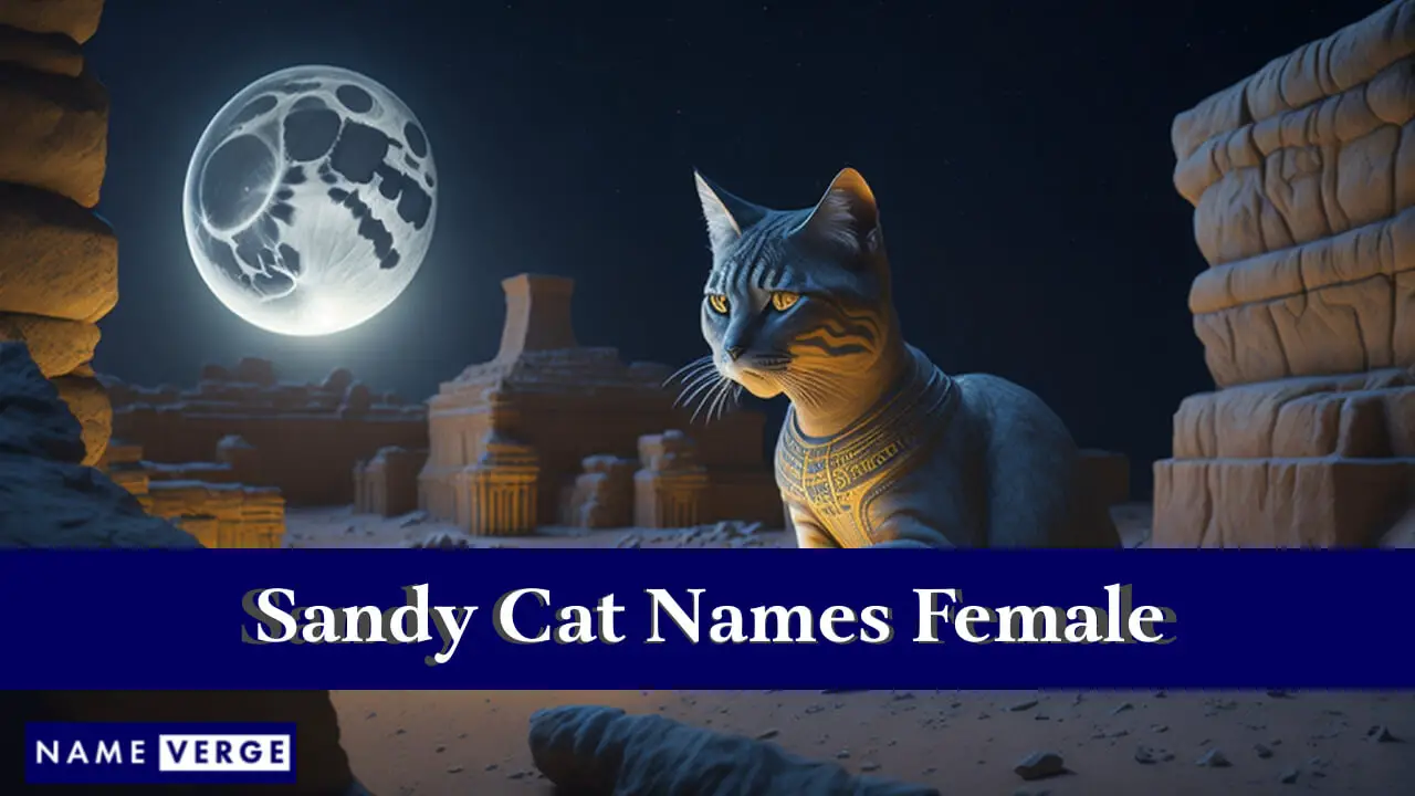 Sandy-Katzennamen für Frauen