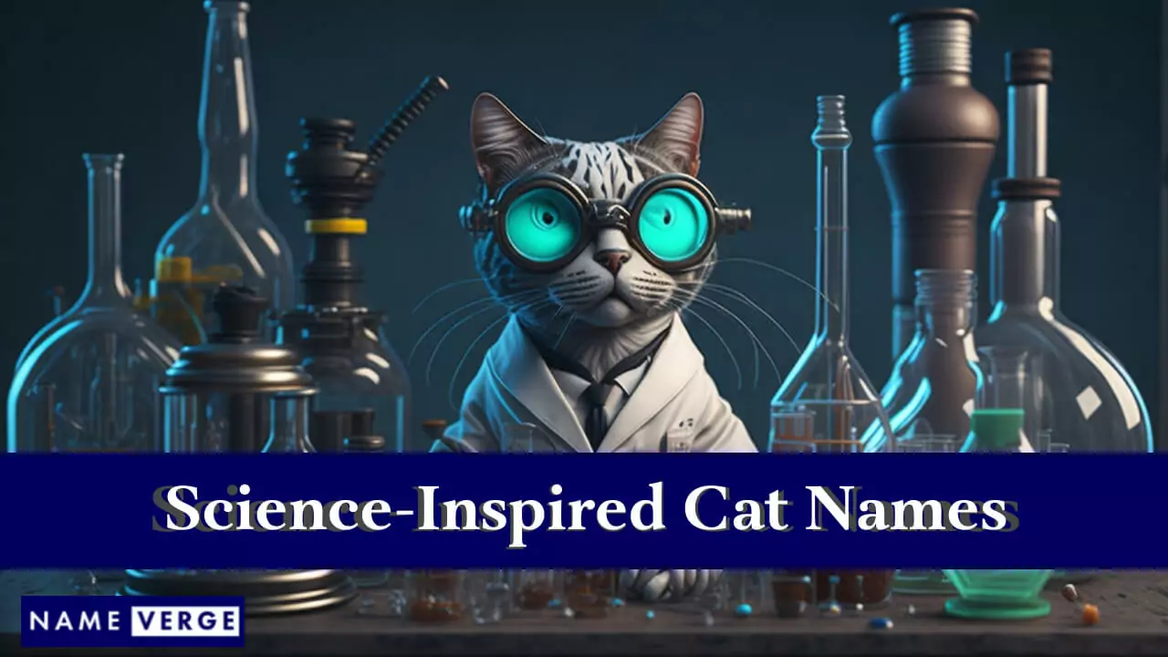 Von der Wissenschaft inspirierte Katzennamen