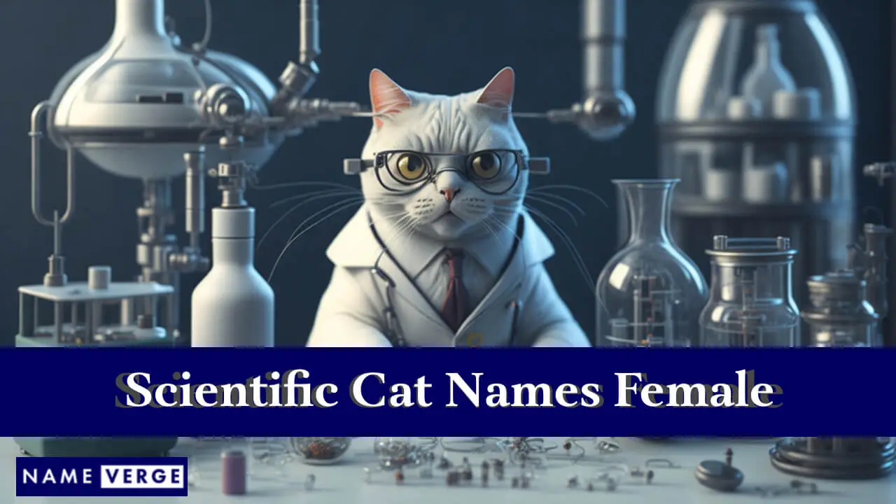 Wissenschaftliche Katzennamen für Frauen