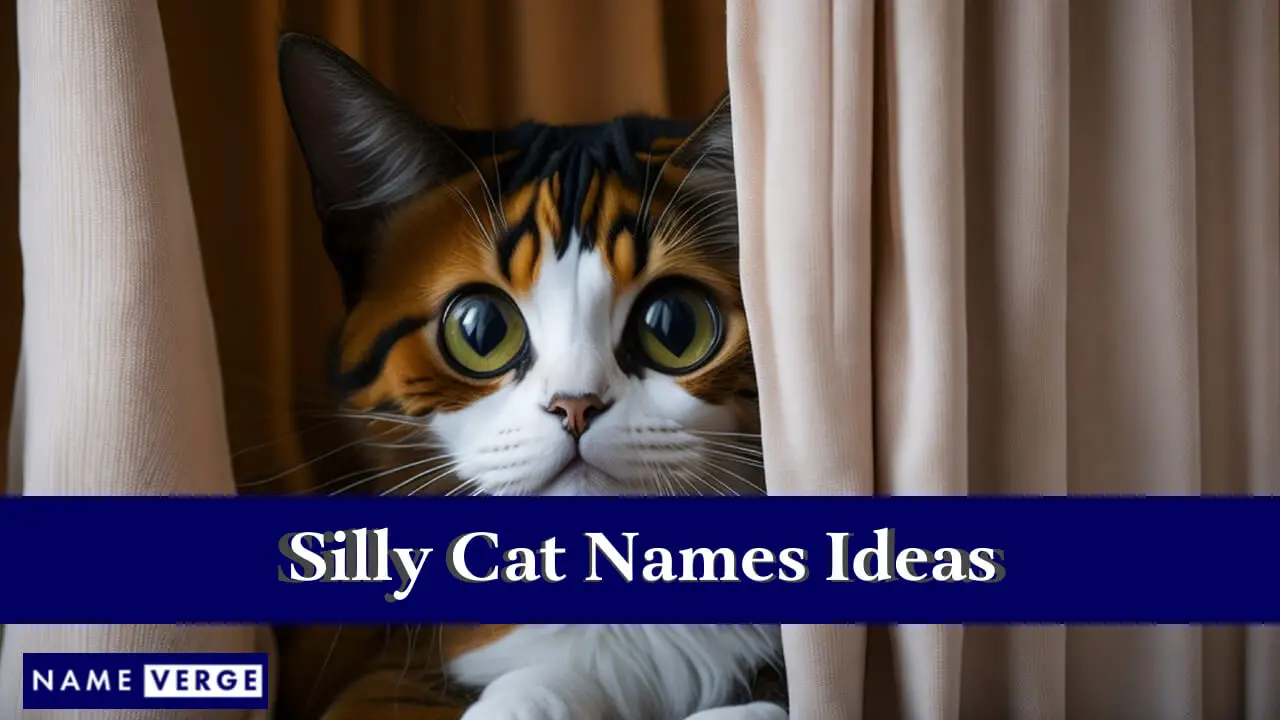 Ideen für alberne Katzennamen