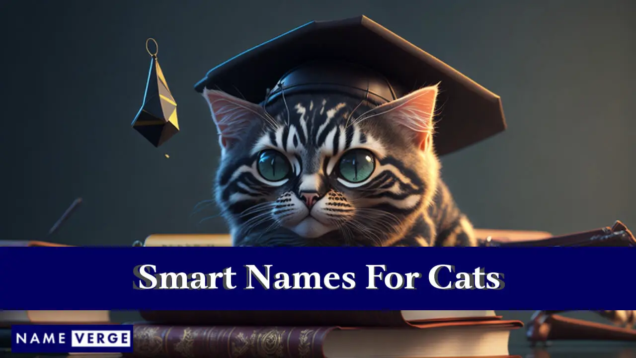 Intelligente Namen für Katzen