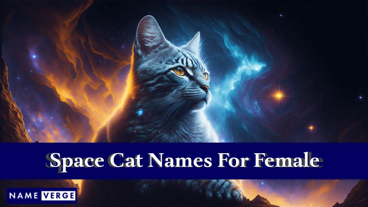 Weltraumkatzennamen für Frauen