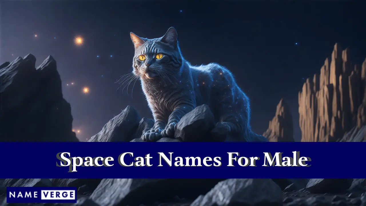 Weltraumkatzennamen für Männer