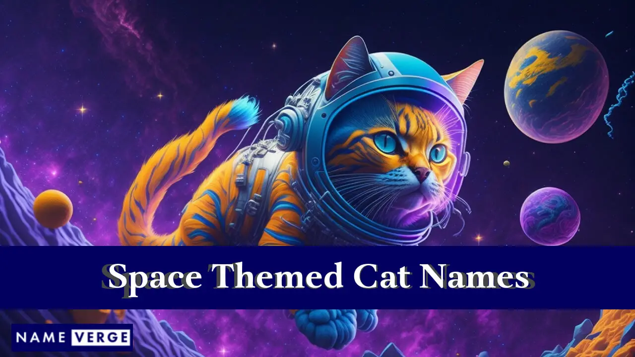 Katzennamen mit Weltraumthema