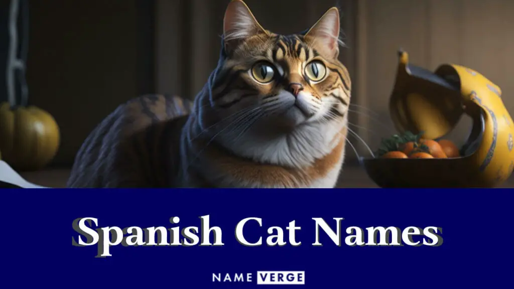 spanish cat names