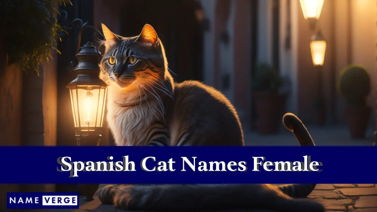 Spanische Katzennamen für Frauen