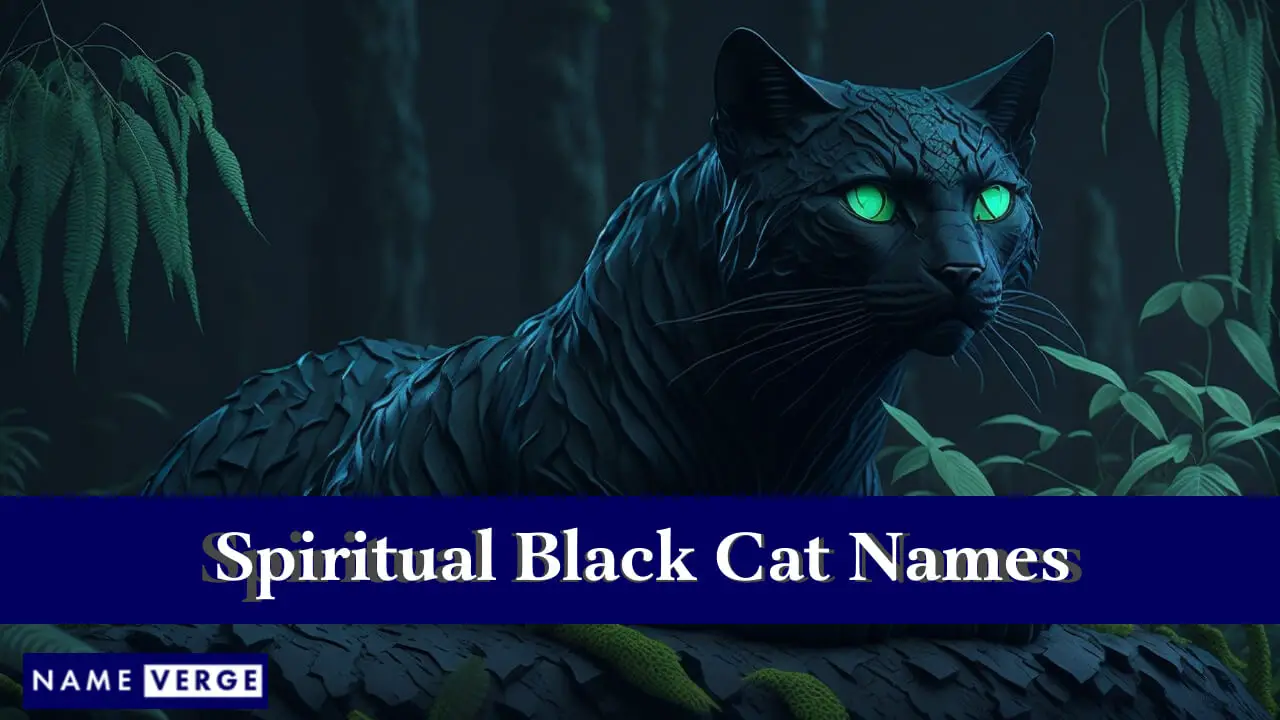 Spirituelle schwarze Katzennamen