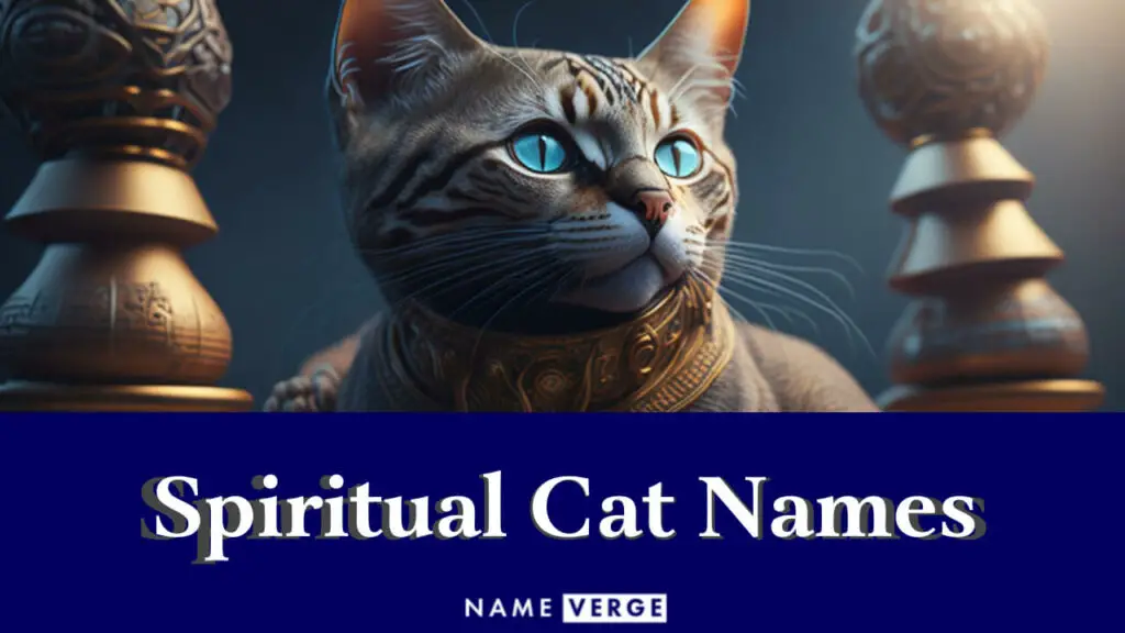spiritual cat names