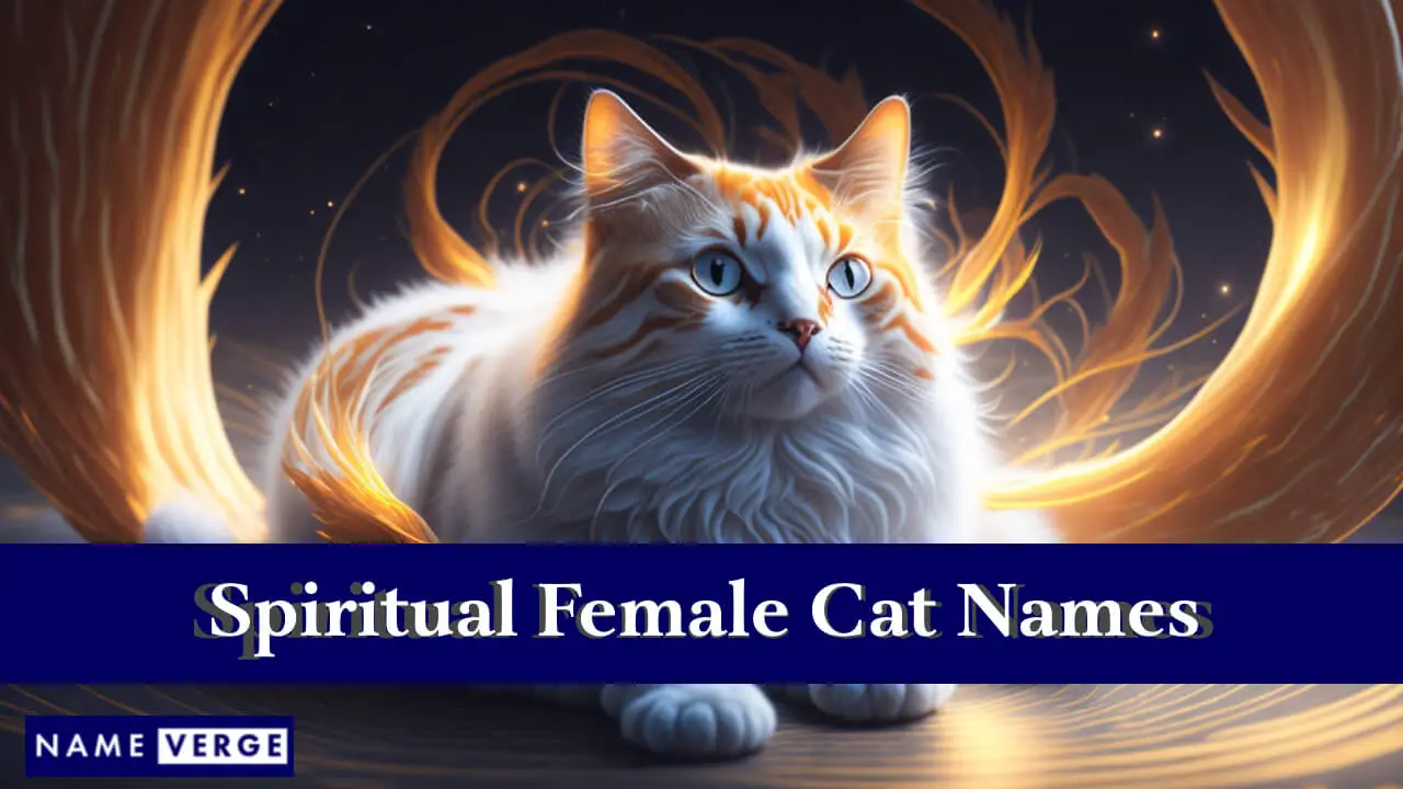 Spirituelle weibliche Katzennamen